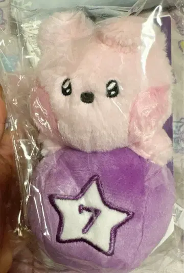 LINE FRIENDS BTS BT21 봉제 인형 키링 cooky