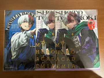 히로아카 클리어 파일 토도로키 쇼토