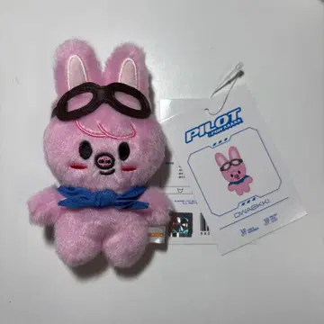 돼끼 10cm 인형 팬미팅 굿즈 pilot straykids