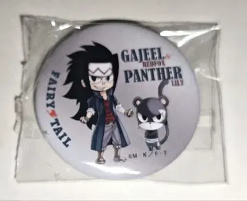 페어리 테일 가질 릴리 캔뱃지 월간