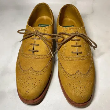 [ 선착순 ] [ 빠른 발송 ] REGAL 리갈 윙팁 메달리온