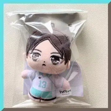 하이큐 프리누이 터치 드림 미니미니 쿠니미 아키라 봉제 인형 마스코트