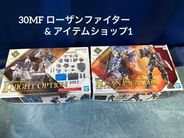 30MF 로잔 파이터 & 아이템 샵 1