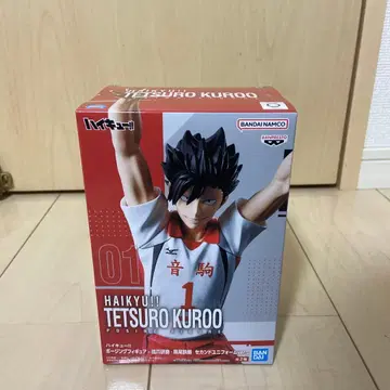 하이큐!! 테츠로 쿠로오 포징 피규어