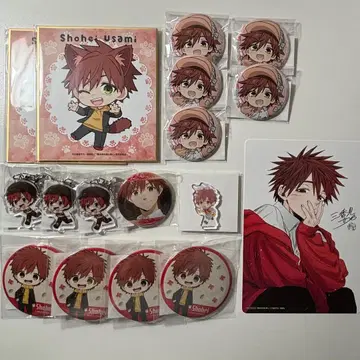 향기로운 꽃은 늠름하게 피다 우사미 쇼헤이 묶음 판매