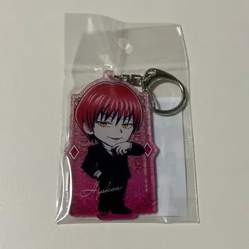 HUNTER x HUNTER 히소카 빅 키링 수트