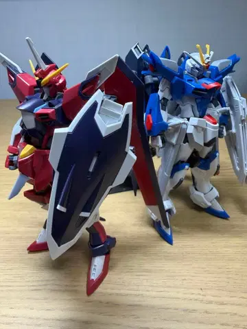 HG 건담 프라모델 라이징 프리덤 이모탈 저스티스 완성품