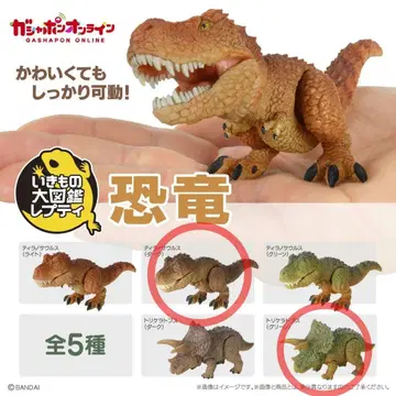 생물대도감 쁘띠 공룡 캡슐 토이 티라노사우루스 가챠