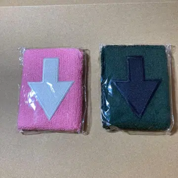 더 하이로우즈 리스트 밴드 2개 세트