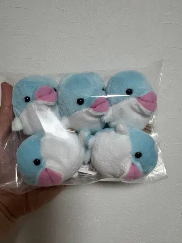 미니 비즈 돌고래 minibeans 에이쇼 5개 세트
