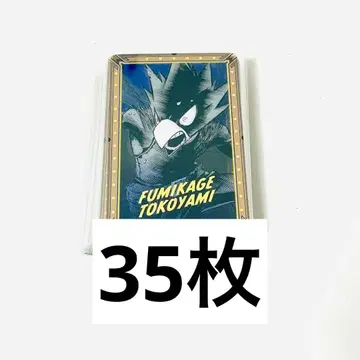 나의 히어로 아카데미아 원화전 금박 클리어 카드 토코야미 후미카케