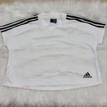 [ adidas ] 아디컬러 팀 가이스트 반팔 티셔츠 와이드 숏 기장