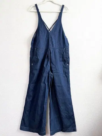 안트게이지 올인원 살로펫 ayane 니코앤드 sm2 ichi