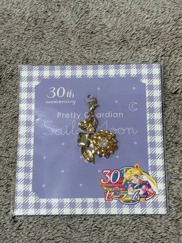 세일러문 로손 지퍼 참 환상의 은수정