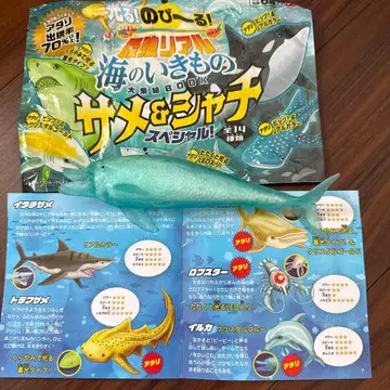 빛나는 늘어나는! 바다 생물 상어 & 범고래 돌고래