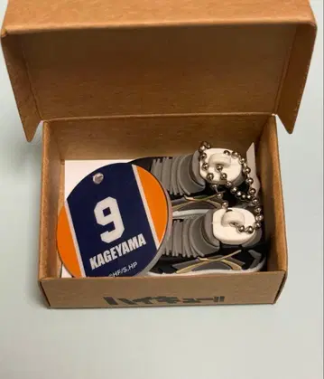 하이큐!! 미니어처 신발 컬렉션 카게야마 토비오