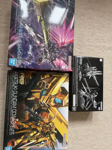 건담 프라모델 세트 3점 RG 아카츠키 HG 데스티니 제우스 실루엣