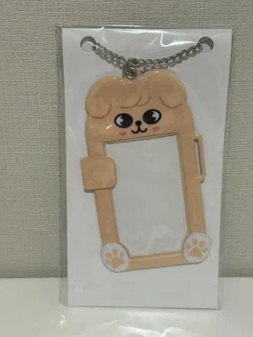 스키즈 트레이딩 카드 케이스 퍼핌 승민