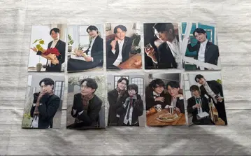 집사 가극단 쿠마가와 씨 꽃의 배합 10종 동영상상 포함 심포니아