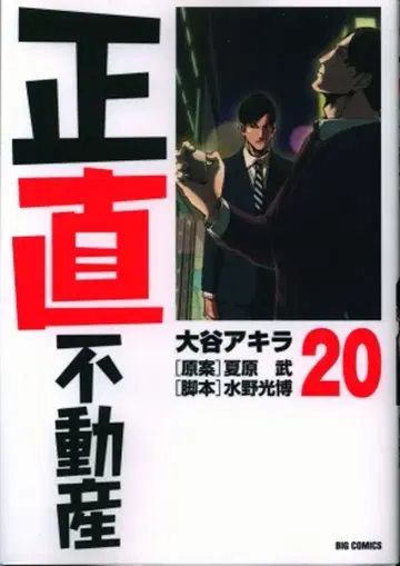 소학관 빅 코믹스 오타니 아키라 !!) 정직 부동산 20