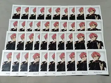 앙스타 쿠온 마이쥬 파샤츠 전시회 특전 10주년 40점