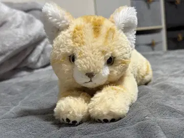 사막여우 봉제 인형 고양이 선레몬