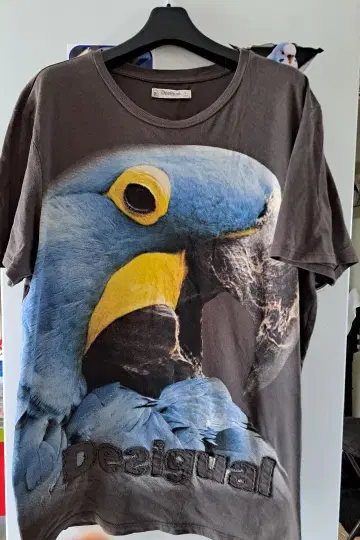 Desigual 앵무새