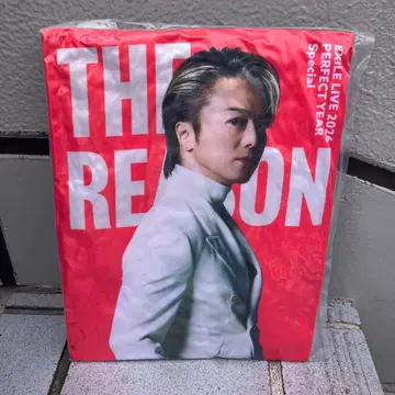 즉시 구매 EXILE TAKAHIRO 쿠션 도쿄돔 !