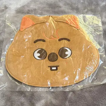 straykids 한 부채 케이스