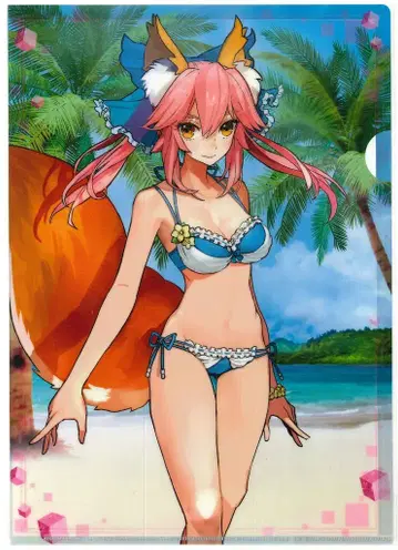 무빅 Fate EXTRA 타마모노마에 클리어 파일