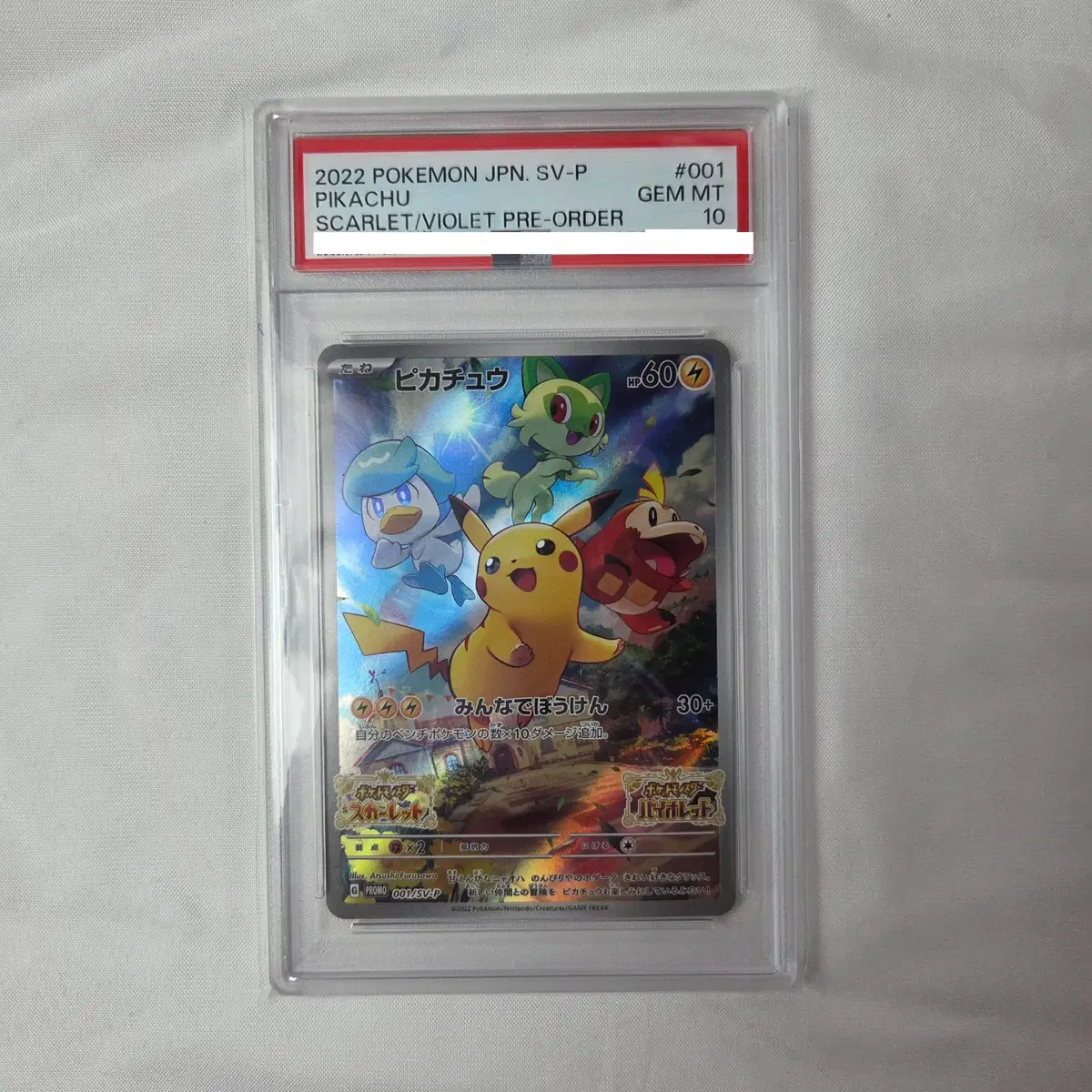 PSA 10 2010 Pikachu World ITALIAN HOLO #포켓몬스터,#등급카드