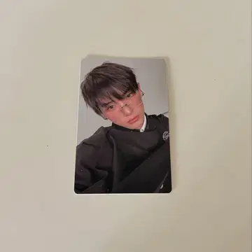 &TEAM HARUA 트레이딩 카드