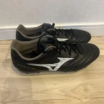 미즈노 모나르시다 블랙/실버