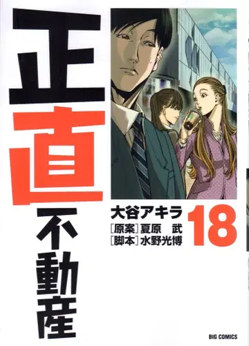 소학관 빅 코믹스 오타니 아키라 !!) 정직 부동산 18