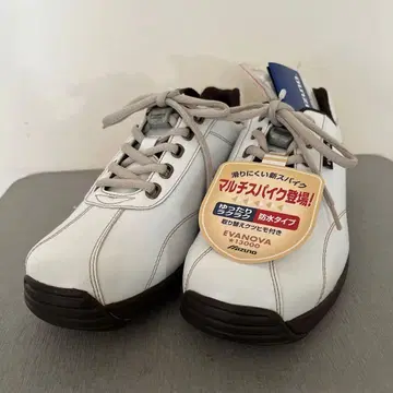 미즈노의 EVANOVA 골프화