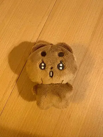 TXT 범규 포바투