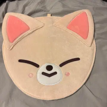 StrayKids 아이엔 폭시니 부채 커버 케이스