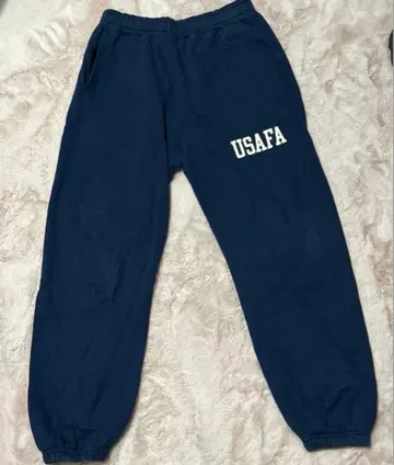 BUZZ RICKSON'S x BEAMS USAFA 팬츠 M