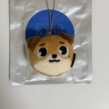 DAY6 도운 데니멀즈