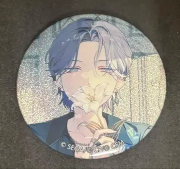 프로세카 그리캔 10A 토우야