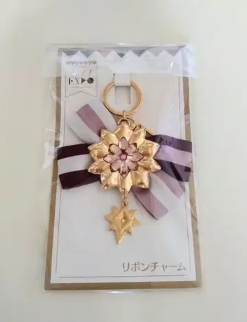 아이나나 EXPO 리본 참 텐