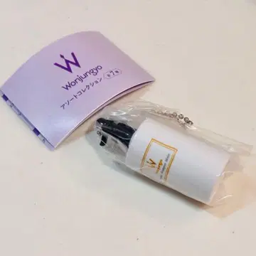 히라노 쇼 Wonjungyo 원준 기요 가챠 샴푸 키링