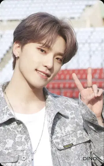 SEVENTEEN HMV DINO 히토리쟈나이 ver3