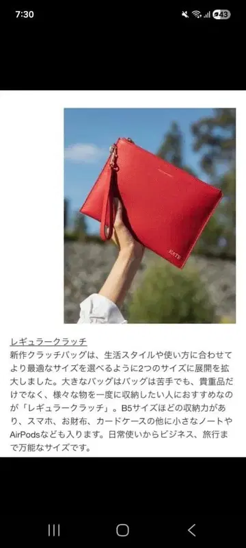 팔고 싶어요! 메종 드 사브레 클러치백 파우치