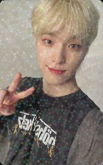 SEVENTEEN 위버스 DINO ALWAYS YOURS 홀로