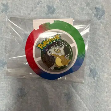 포켓몬 포케파크 핀 배지 카라카라