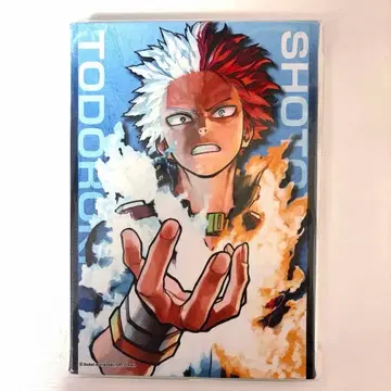 토도로키 쇼토 풀컬러 아트 보드 캠퍼스 보드