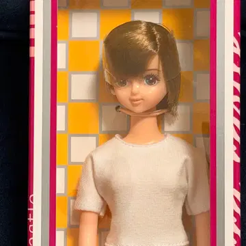 미개봉 새상품 2022년 5월 DS66 모델 타마키-5