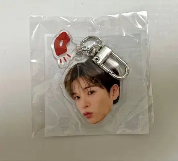 TREASURE 아사히 popup 캡슐 토이 얼굴 아크링 키링 보물