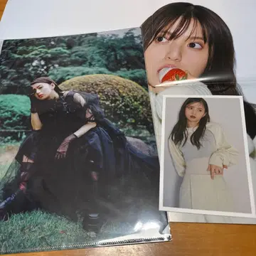 한정품 노기자카46 사이토 아스카 개별 클리어 파일 포스터 세트